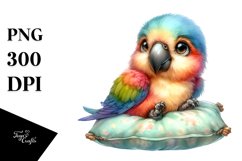 Colorful Baby Macaw with Pillow | Clipart Product Image 1