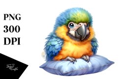 Colorful Baby Macaw with Pillow | Clipart Product Image 3