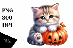 Cute Baby Kitten Holding Halloween Pumpkin, Transparent PNG Product Image 3