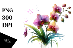 Orchid Material PNG Product Image 1
