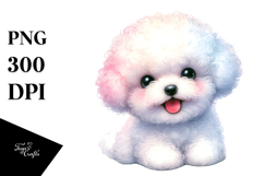 Baby Bichon Frise Product Image 1