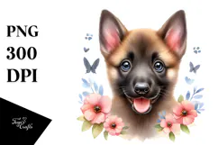 Watercolor Baby Malinois PNG Product Image 1