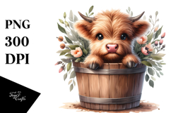 Cute Baby Highland Cow Coming Out, Transparent PNG Product Image 1
