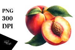 Nectarine Sublimation Clipart Product Image 3