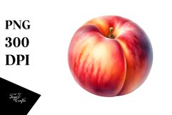 Nectarine Sublimation Clipart Product Image 3