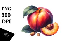 Nectarine Sublimation Clipart Product Image 3