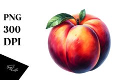 Nectarine Sublimation Clipart Product Image 1