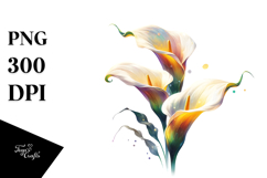 Calla Lily PNG Product Image 1