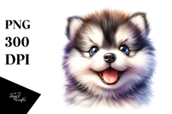 Baby Siberian Husky, Transparent PNG Product Image 1