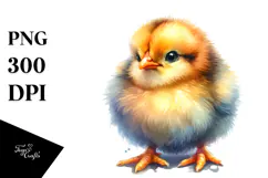 Baby Chicken, Transparent PNG Product Image 1