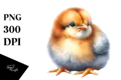 Baby Chicken, Transparent PNG Product Image 1
