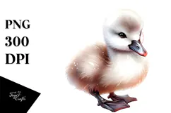Baby Swan with Big Eyes PNG Product Image 1