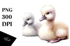 Cute Baby Swan PNG Product Image 1