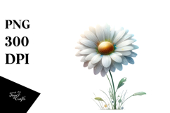 Daisy with Watercolor Splash PNG Product Image 1