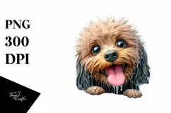 Wet Crazy Poodle Ice Crack Landscape Clipart Product Image 1