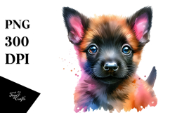 Cute Malinois PNG Product Image 1
