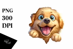 Crazy Looking Golden Retriever Wall Crack | Clipart Product Image 3