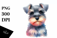Colorful Miniature Schnauzer Tumbling with Petals | Product Image 1