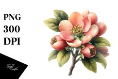 Watercolor Quince Clipart Product Image 3