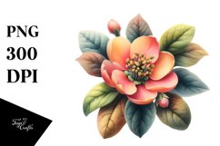 Watercolor Quince Clipart Product Image 3