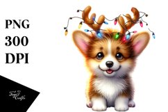Vibrant Pembroke Welsh Corgi, High-Res PNG Product Image 3