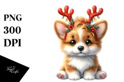 Expressive Pembroke Welsh Corgi, High-Res PNG Product Image 3