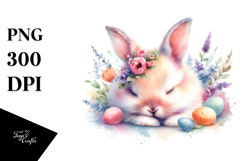 Pastel Sleeping Bunny | Clipart Product Image 1