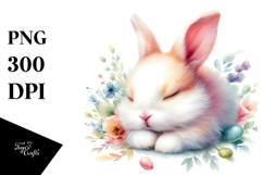 Pastel Sleeping Bunny | Clipart Product Image 1