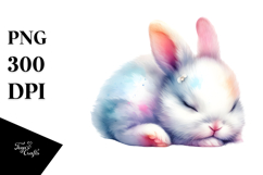 Pastel Sleeping Bunny | Clipart Product Image 1