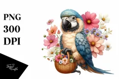 Cute Colorful Baby Macaw with Cosmos Bouquet Product Image 3