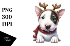 Extremely Expressive Baby Bull Terrier PNG Product Image 1