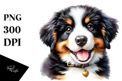 Watercolor Baby Bernese Mountain Dog PNG Product Image 1