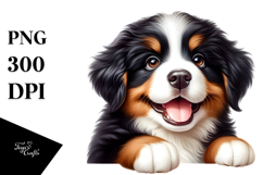 Watercolor Baby Bernese Mountain Dog PNG Product Image 1