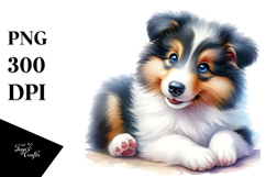 Watercolor Baby Collie PNG Product Image 1