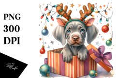 Extremely Expressive Baby Weimaraner PNG Product Image 3