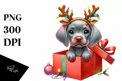 Extremely Expressive Baby Weimaraner PNG Product Image 1