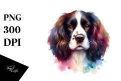 Cute Colorful English Springer Spaniel Watercolor Clipart Product Image 3