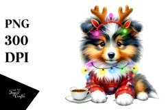 Extremely Expressive Baby Collie PNG Product Image 3