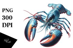 Sublimation|Clipart Product Image 1