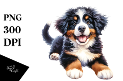 Happy Bernese Mountain Dog Baby PNG Product Image 1