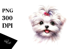 Baby Maltese PNG Product Image 1