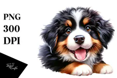 Happy Bernese Mountain Dog Baby PNG Product Image 1