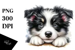 Happy Border Collie Puppy PNG Product Image 1