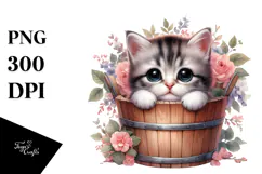 Cute Baby Cat, Transparent PNG Product Image 1