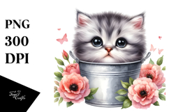 Cute Baby Cat, Transparent PNG Product Image 1