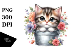 Cute Baby Cat, Transparent PNG Product Image 1