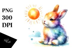 Colorful Cute Seal Product Image 1