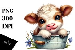 Cute Baby Hignland Cow with Iris Bucket PNG Product Image 1