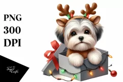Expressive Baby Havanese Watercolor PNG Product Image 1