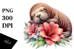 Adorned Baby Walrus Sleeping PNG Product Image 1